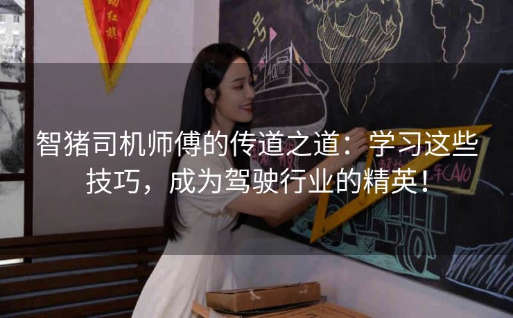 智猪司机师傅的传道之道：学习这些技巧，成为驾驶行业的精英！